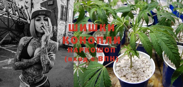 гашик Вязьма