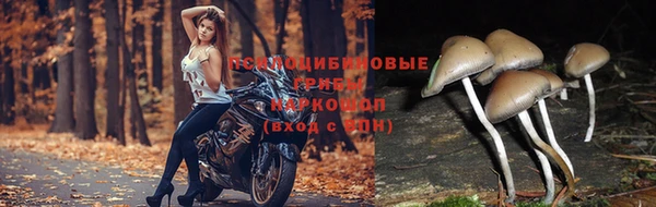 молекула духа Абинск