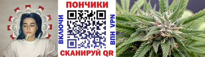Бошки Шишки конопля где купить наркоту Спас-Клепики